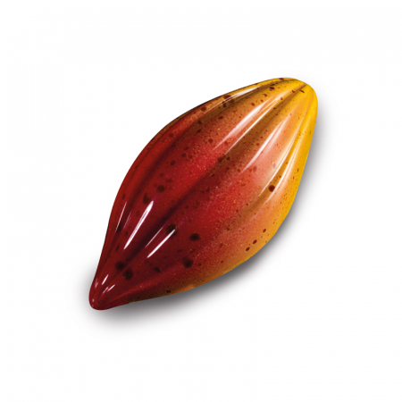 Matrite Praline 27.5x13.5cm Policarbonat - Matrita Policarbonat Gama Modern 21 Praline Ciocolata, 5.2 x 2.6 x H 1.4 cm, 9 g