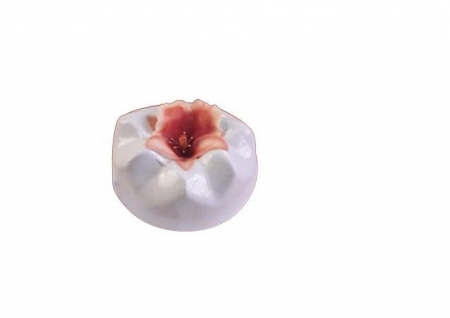 Orhidee Panse - Decupatoare Plastic Ø 5.7 - 9.6 cm, Set 3 Buc [2]