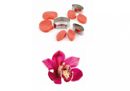 Ustensile Decor Pasta de Zahar - Orhidee Phalaenopsis Petale - Decupatoare Inox si Mulaje Silicon Ø 5 - 6 cm, Set 9 Buc