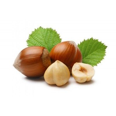 Paste Concentrate Aromatizante - Pasta Alune de Padure 100%, JoyPaste Nocciola Premium, 1 kg
