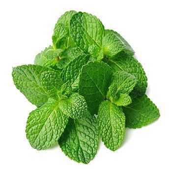 Paste Concentrate Aromatizante - Pasta Aromatizanta MENTA, Joypaste Menta 1.2 kg