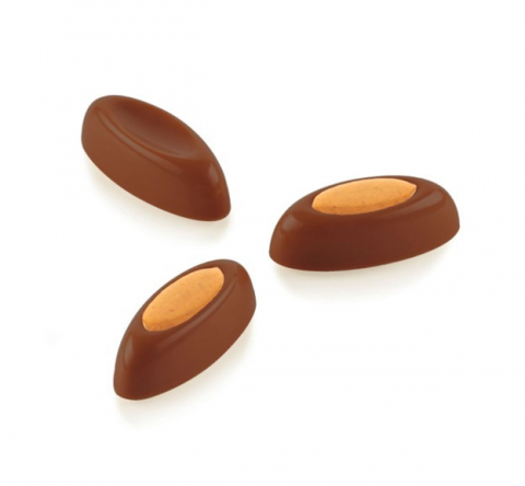 Ciocolaterie - Matrite, Ustensile - Praline Ciocolata 4.6 x 2 x H 1.4cm - Mtrita policarbonat Sogno,24 cavitati (CH042)