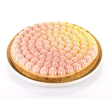 Set Tarte Meringue Ø 25 cm, 1 Rama Microforata + Forma Silicon [6]