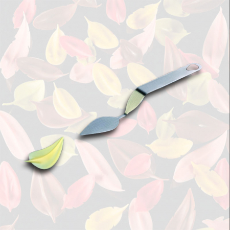 Ciocolaterie - Matrite, Ustensile - Spatula Inox Decor Ciocolata - Frunza model B, 6x3 cm
