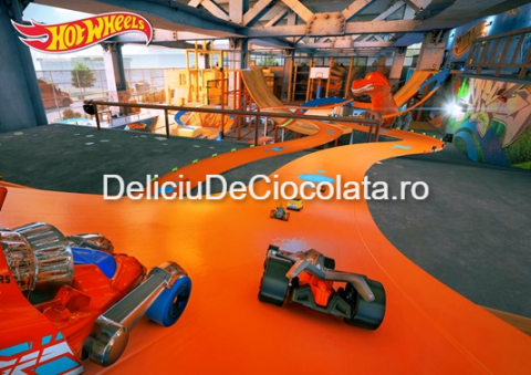 Desene Animate - Vafa imprimata Hot Wheels Model 2, A4