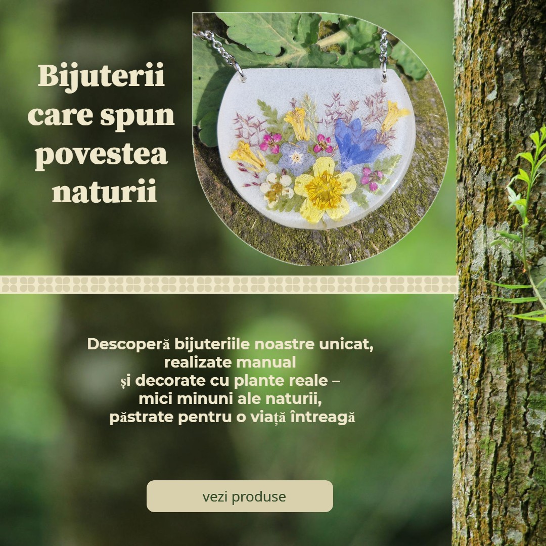 2. Bijuterii RO mobil