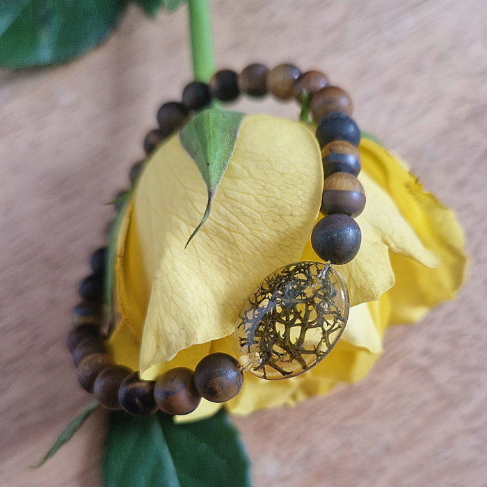 Tigrisszem 6mm ásvány karkötő - 15 cm csukló (matt) [2]