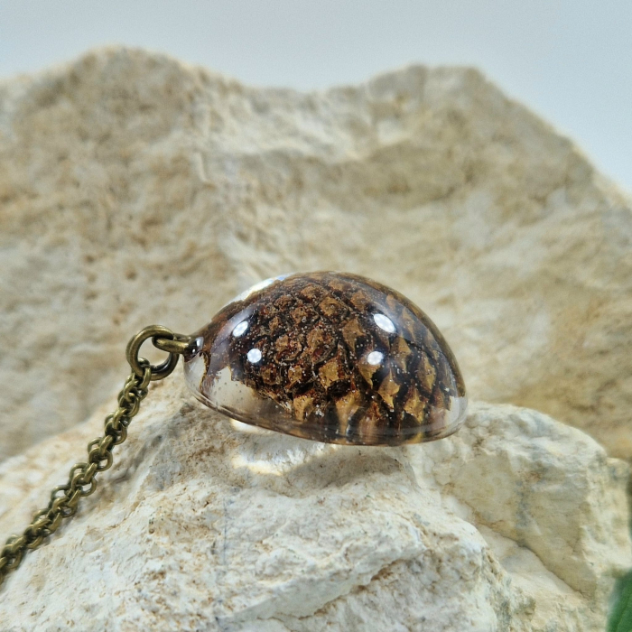 Fenyőtoboz nyaklánc [2]