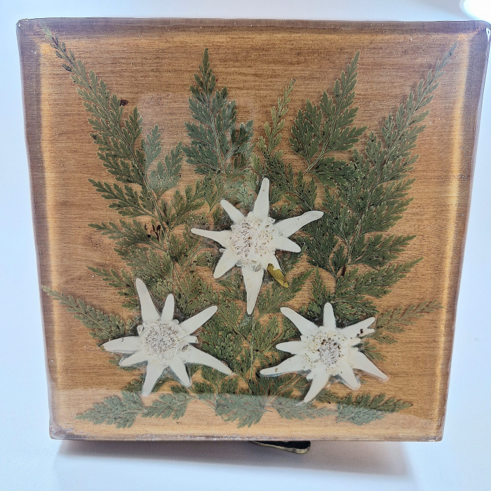 Havasi gyopáros ékszertartó doboz [3]