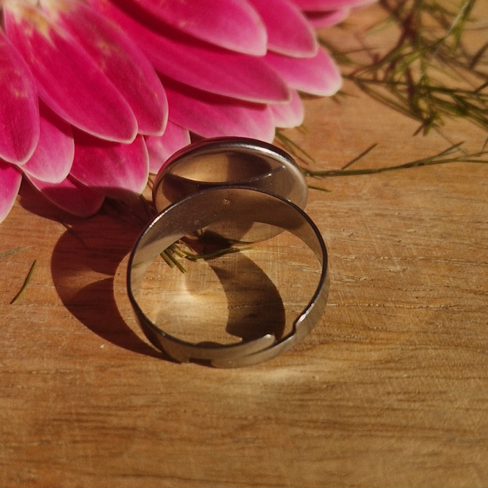 Nefelejcs acél gyűrű [4]