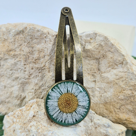 Accesorii păr - Agrafă păr cu floarea de bănuți