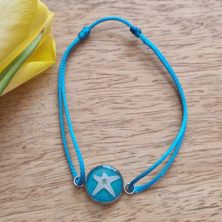 Tengeri csillag  karperec [1]