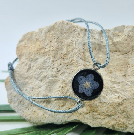 Karparec - Nefelejcs karperec