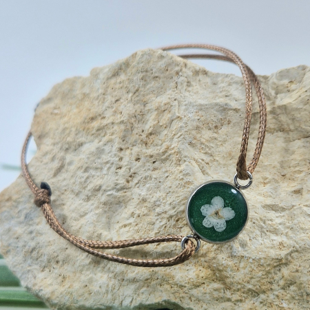 Karparec - Nefelejcs karperec