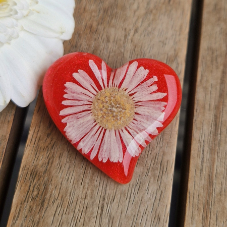 Broșă cu floarea de bănuți [1]