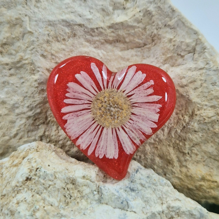 Broșă - Broșă cu floarea de bănuți