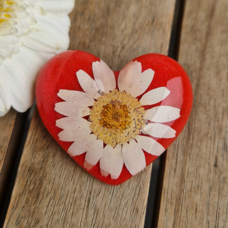 Broșă cu margaretă [1]