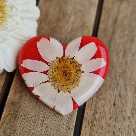 Broșă cu margaretă [1]