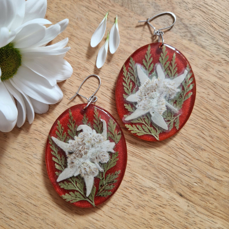 Cercei argint cu floarea de colț [1]