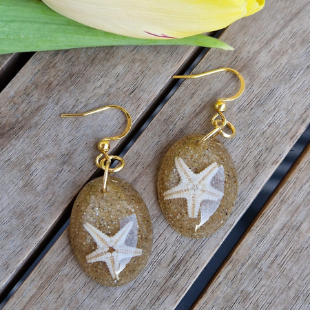 Cercei din oțel cu stele de mare [1]