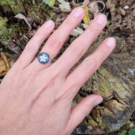 Nefelejcs acél gyűrű [2]