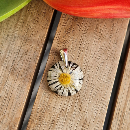 Pandantiv argint cu floarea de bănuți [1]