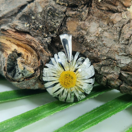 Nyaklánc / Medál - Százszorszép ezüst medál