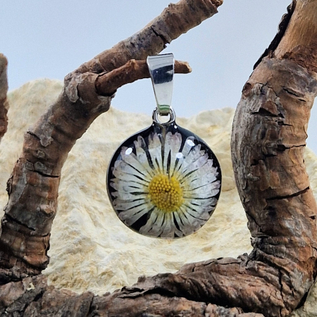 Nyaklánc / Medál - Százszorszép ezüst medál