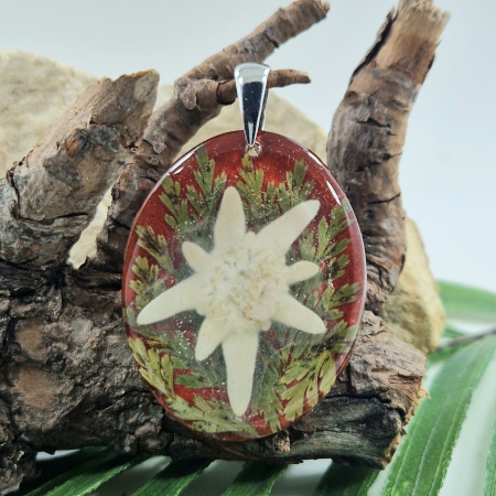 Nyaklánc / Medál - Havasi gyopár ezüst medál