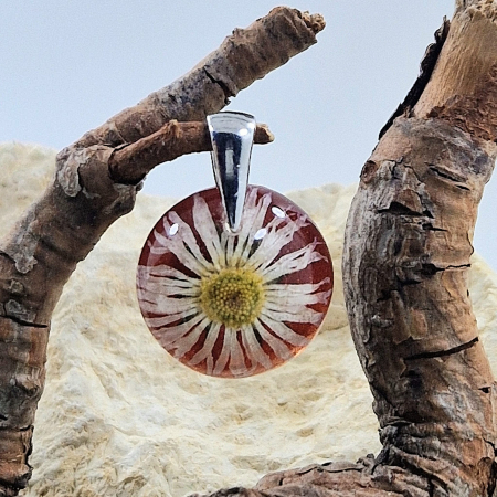 Százszorszép ezüst medál