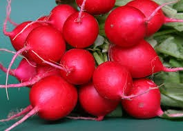 Seminte Ridichi Cherveni edri (Mari, roşi) 5 grame [2]