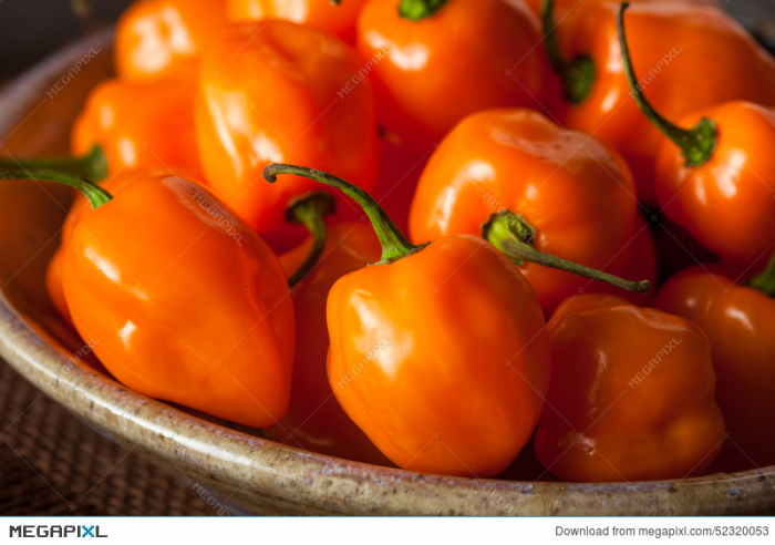 Seminte Ardei iuti Habanero portocaliu 20 seminte [5]