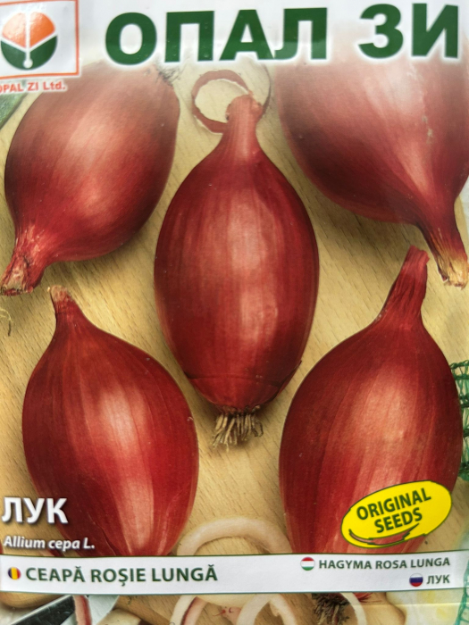 Seminte Ceapa Rosa lunga (roşie, alungită)  2 grame [2]
