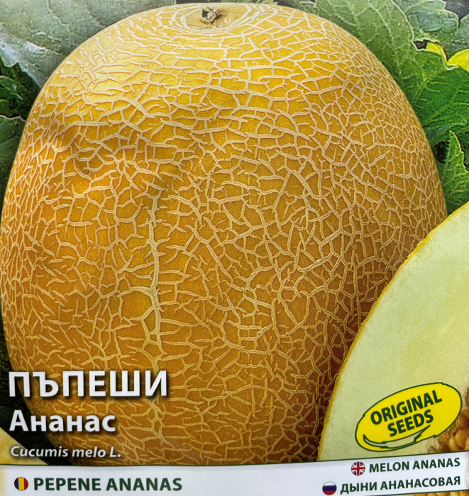 Seminte de pepene galben Ananas - 3 g [1]