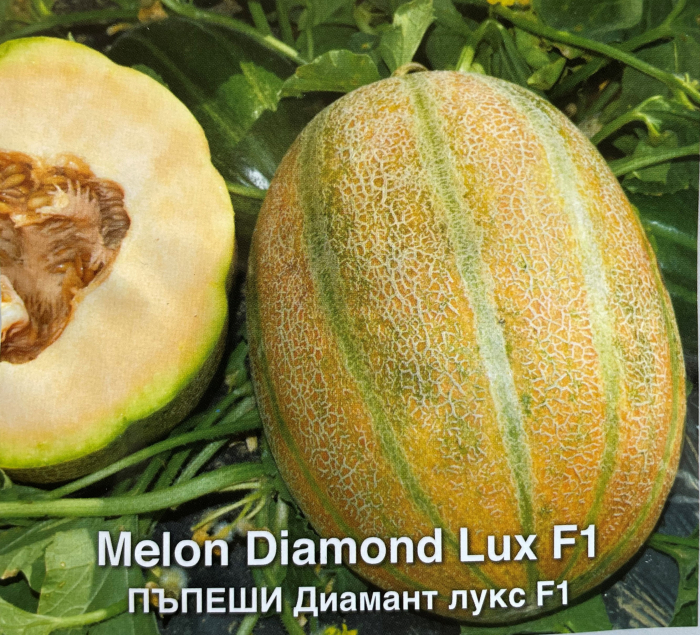 Seminte de pepene galben Diamant lux F1- 1 g [1]
