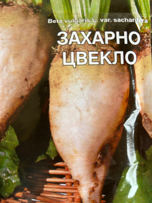 Seminte de sfecla de zahar 25 grame [2]