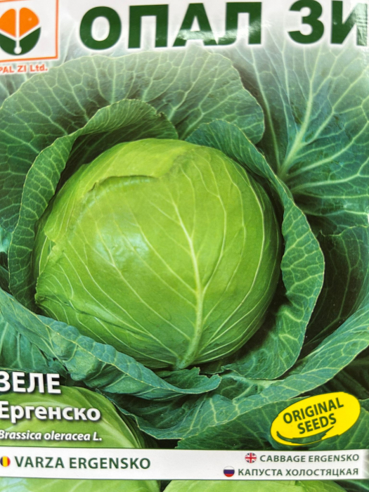 Seminte de varza Ergensko (Burlac), 5 grame [1]