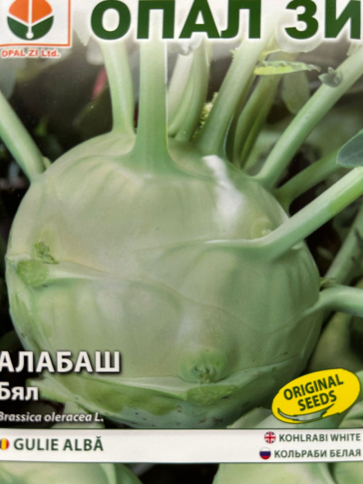 Seminte Gulie Delicatesă albă 3 grame [2]