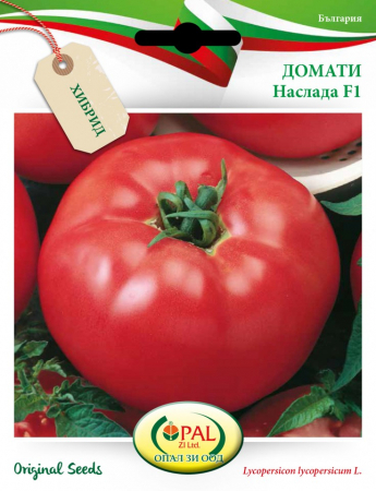 Semințe roșii Naslada F1 - 1 gram [2]