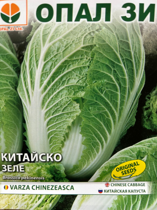 Seminte varza chinezeasca HILTON 1 gram [2]