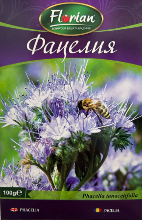 Bulbi de flori - Facelia(Phacelia) 100 grame seminte
