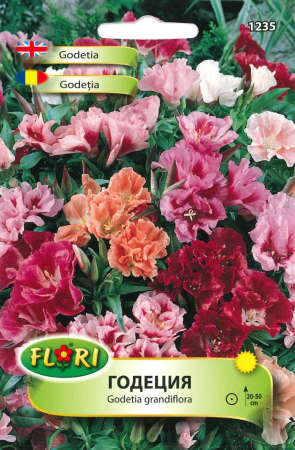Produse - Azalee de grădină mix (Godetia grandiflora) 0.5 grame