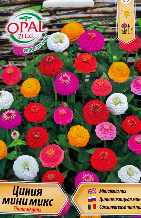 Semințe de Flori - Seminte Carciumarese elegans mini 60 seminte