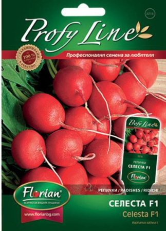 Semințe de Ridichi - Seminte Ridichi Celesta F1 ( Ridichi de luna) - 400 seminte