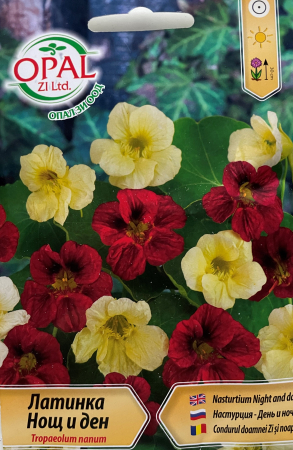 Semințe de Flori - Seminte Condurul Doamnei Night & Day 2 grame