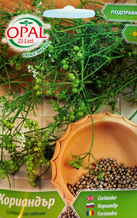 Plante aromatice - Seminte Coriandru  500 seminte