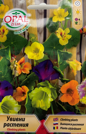 Produse - Seminte Flori cataratoare mixt 2 grame