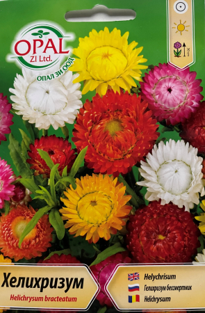 Semințe de Flori - Seminte Flori de pai mixt 600 seminte