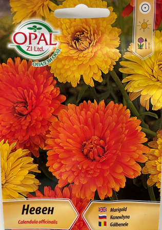 Produse - Seminte de Galbenele