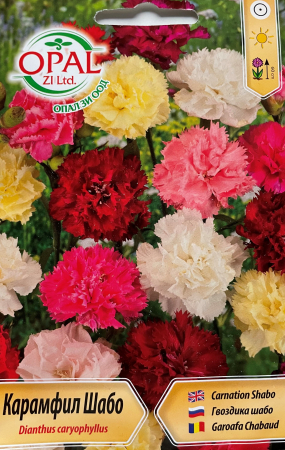 Semințe de Flori - Seminte Garofite Chabaud Mix 0.5 grame